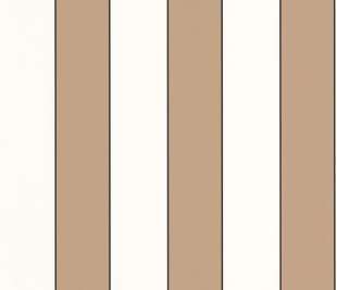 CASELIO_101070217_web