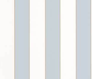 CASELIO_101070621_web