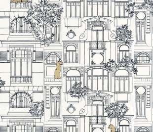 CASELIO_103780973_web