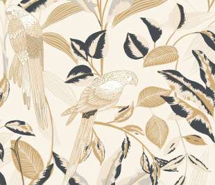 CASELIO_103790288_1_web