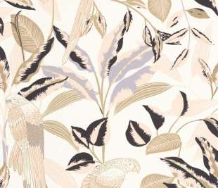 CASELIO_103790288_web