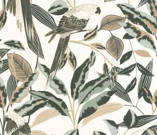 CASELIO_103790725_web