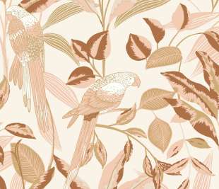 CASELIO_103790414_1_web