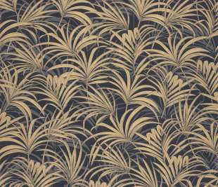 CASELIO_103809274_web