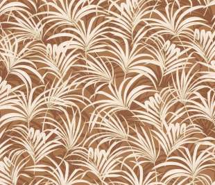 CASELIO_103802150_web