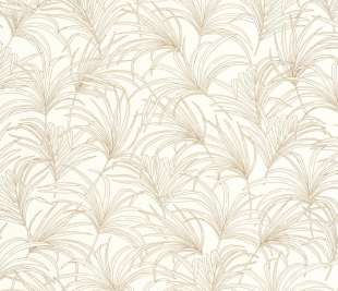 CASELIO_103802014_web