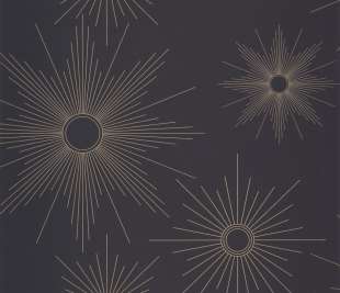 CASELIO_103819277_web