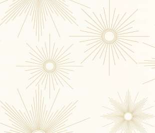 CASELIO_103812009_web