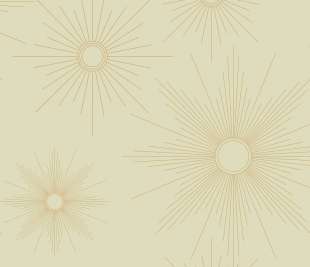 CASELIO_103817241_1_web