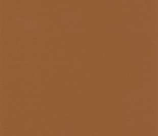 CASELIO_103762497_web