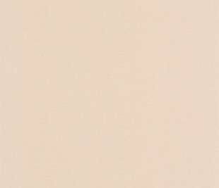 CASELIO_103761434_web