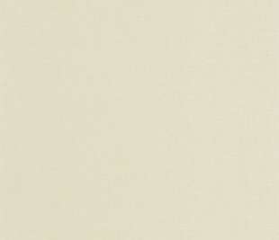 CASELIO_103767367_web