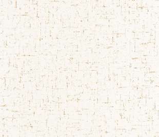 CASELIO_103770204_web