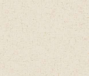 CASELIO_103770204_1_web