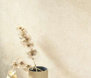 CASADECO_MINERALS-MNRL-MUR-A-LA-CHAUX-BEIGE-GRES-88091138-zoom_web