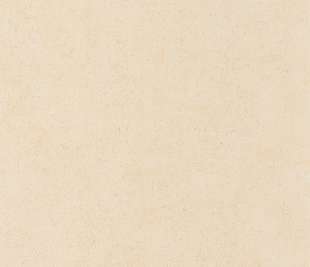 CASADECO_88091212_web