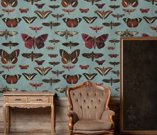 butterflies-turquoise-wallpaper