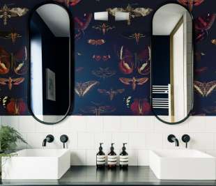 navy-blue-butterflies-wallpaper