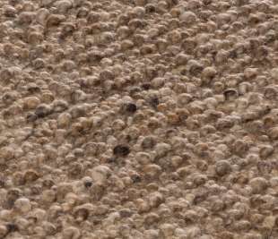 Olbia_Fortuna_col_1810 taust1