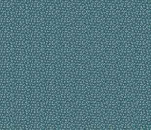 CASELIO_103656160_web