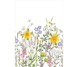 CASELIO_103674203__1_web