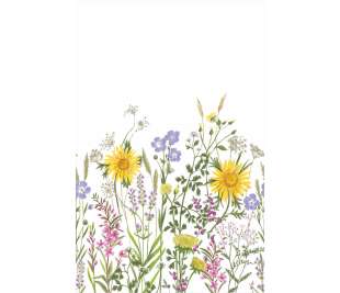 CASELIO_103674204_1_web