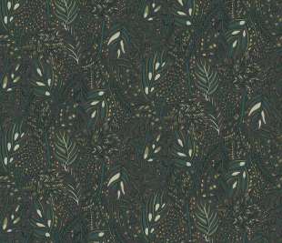 CASELIO_103107177_web