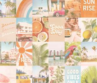 CASELIO_103354563_web