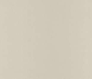 CASELIO_64521010_web