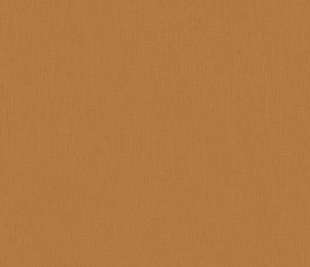 CASELIO_64522100_web