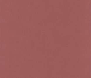 CASELIO_64524250_web