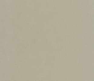 CASELIO_64527210_web