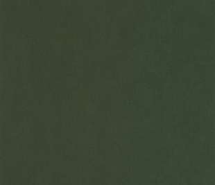 CASELIO_64527370_web