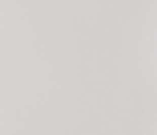 CASELIO_64529162_web