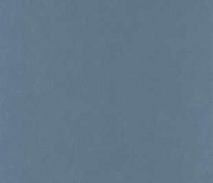 CASELIO_64529368_web