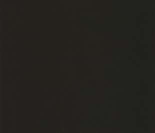 CASELIO_64529800_web