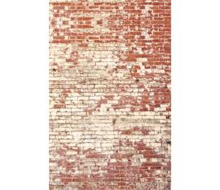 CASELIO_103438204_1_web