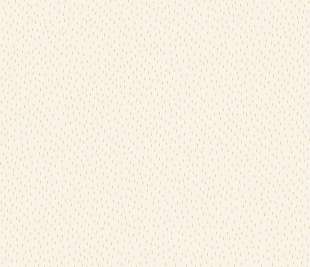 CASELIO_103731015_web