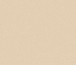 CASELIO_103734000_web