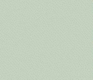 CASELIO_103737127_web