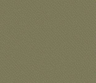 CASELIO_103737051_web