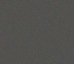 CASELIO_103739095_web