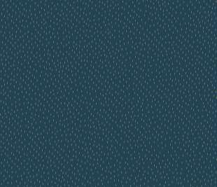 CASELIO_103736027_web