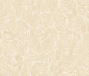 CASELIO_103721000_web