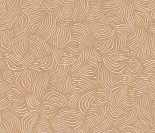 CASELIO_103724061_web