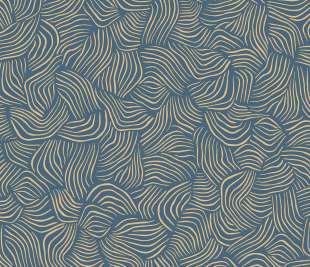 CASELIO_103726025_web