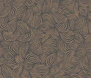 CASELIO_103729090_web