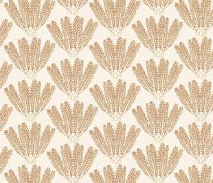 CASELIO_103711040_web