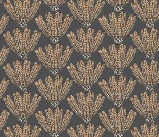 CASELIO_103719017_web