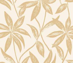 CASELIO_103701000_web